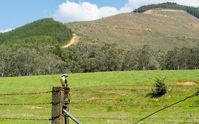 Bright Cabin & Caravan Park